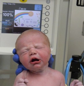 It's a dude, trust me.  